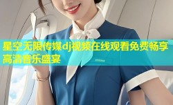 星空无限传媒dj视频在线观看免费畅享高清音乐盛宴