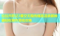 拉拉升职记3星空无限传媒高清录屏神器轻松制作游戏攻略