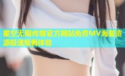 星空无限传媒官方网站免费MV海量资源极速观看体验
