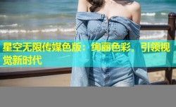 星空无限传媒色版：绚丽色彩，引领视觉新时代
