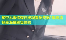 星空无限传媒在线观看免费第1集高清畅享海量剧集体验