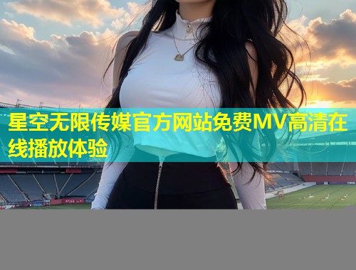 星空无限传媒官方网站免费MV高清在线播放体验  第2张